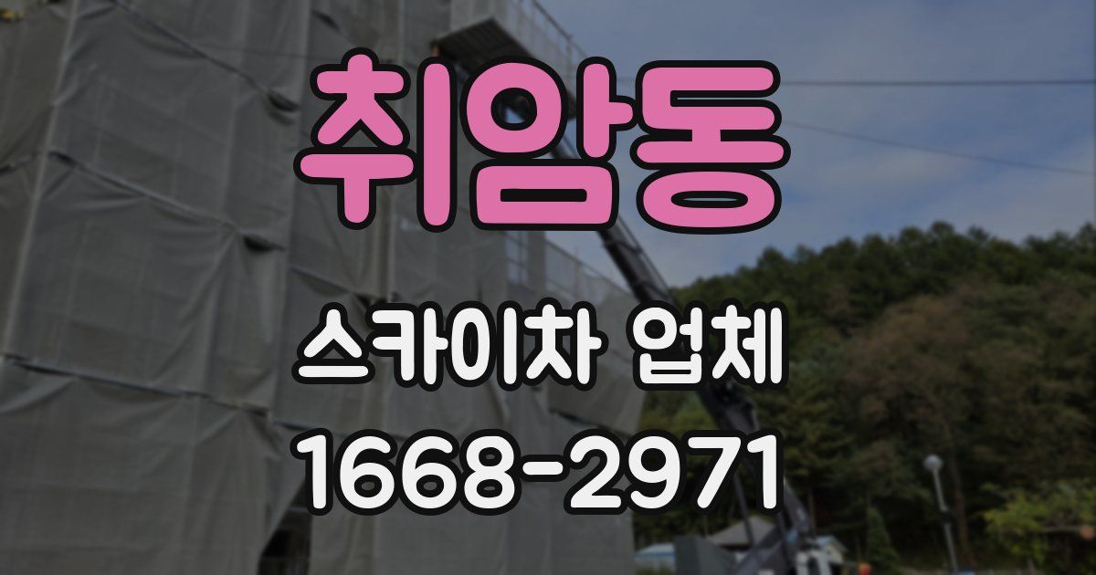 취암동 스카이차 업체
