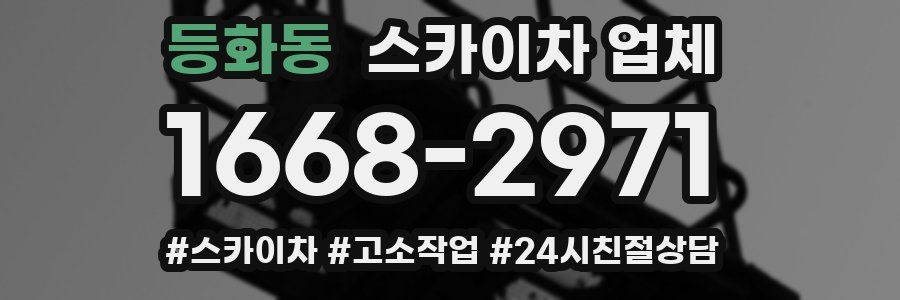 등화동 스카이차 업체