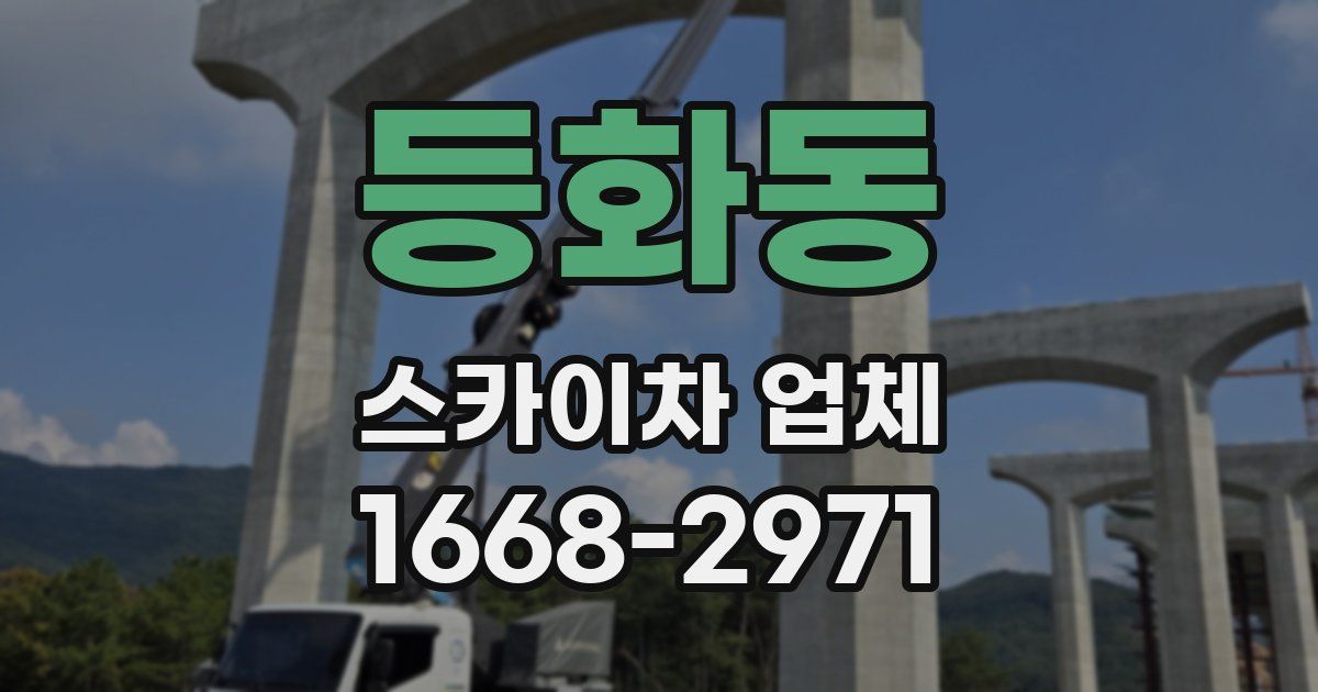 등화동 스카이차 업체