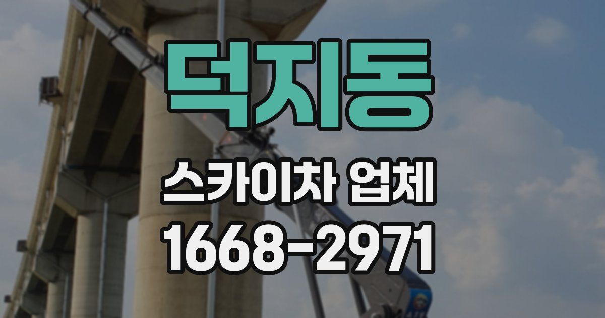덕지동 스카이차 업체