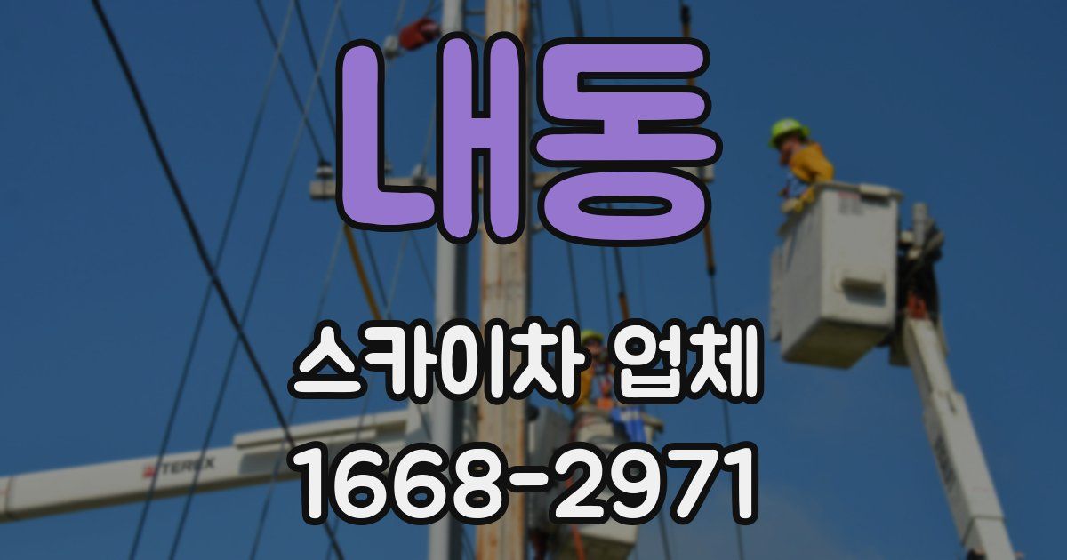 내동 스카이차 업체