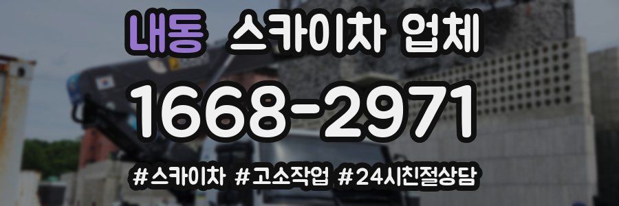 내동 스카이차 업체
