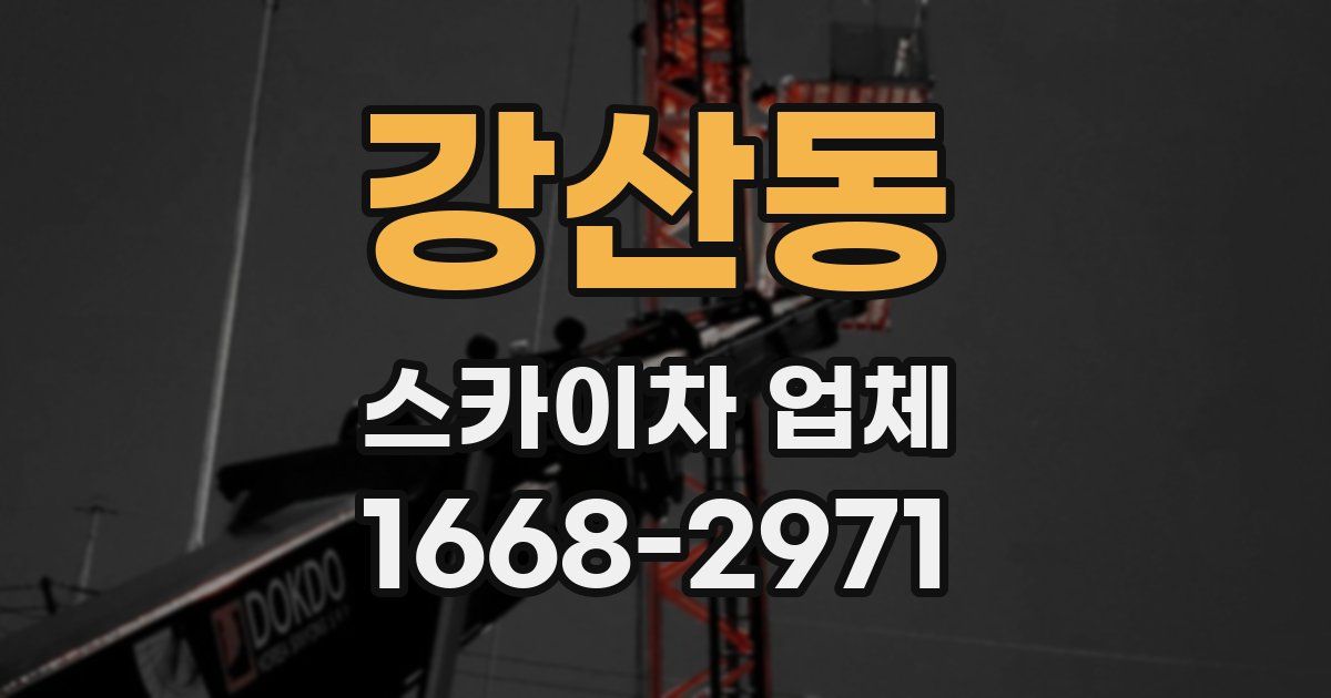 강산동 스카이차 업체