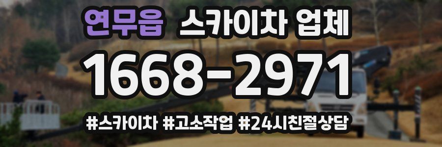 연무읍 스카이차 업체