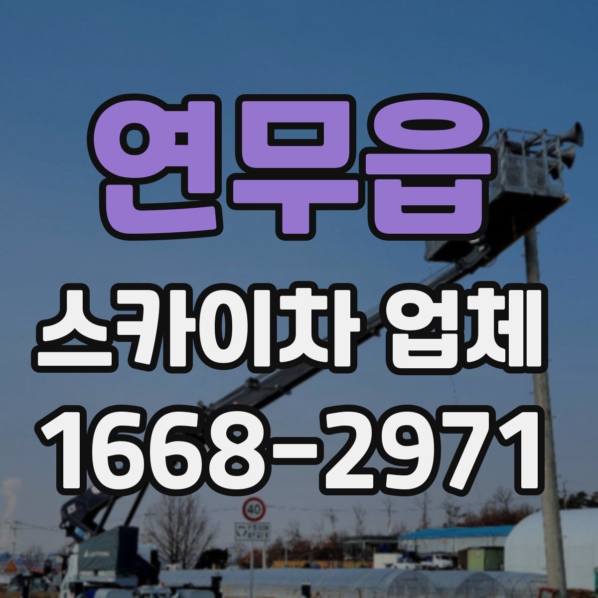 연무읍 스카이차 업체