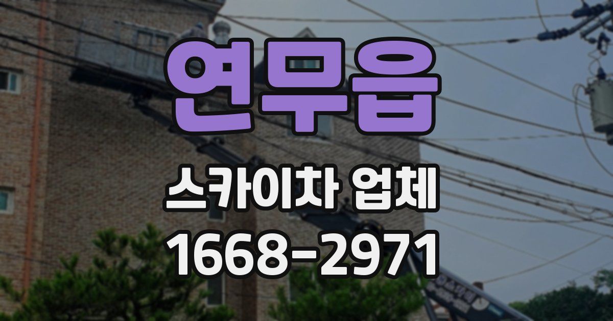 연무읍 스카이차 업체
