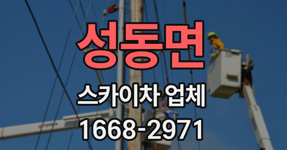 성동면 스카이차 업체