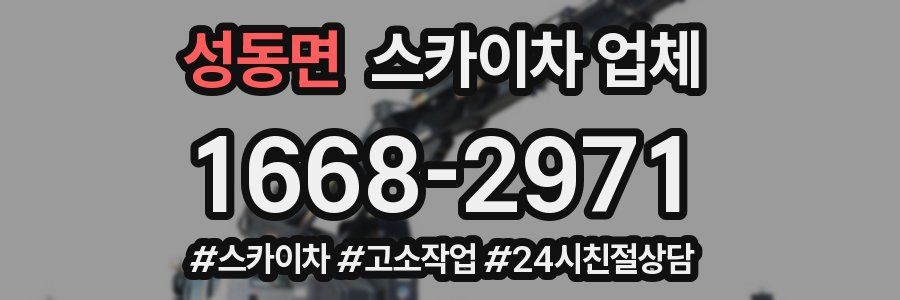 성동면 스카이차 업체