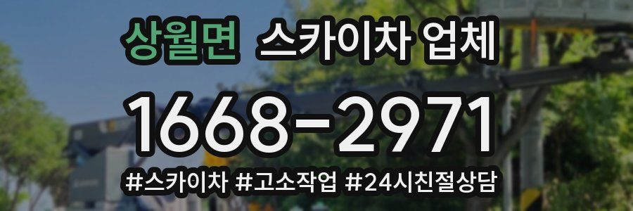 상월면 스카이차 업체