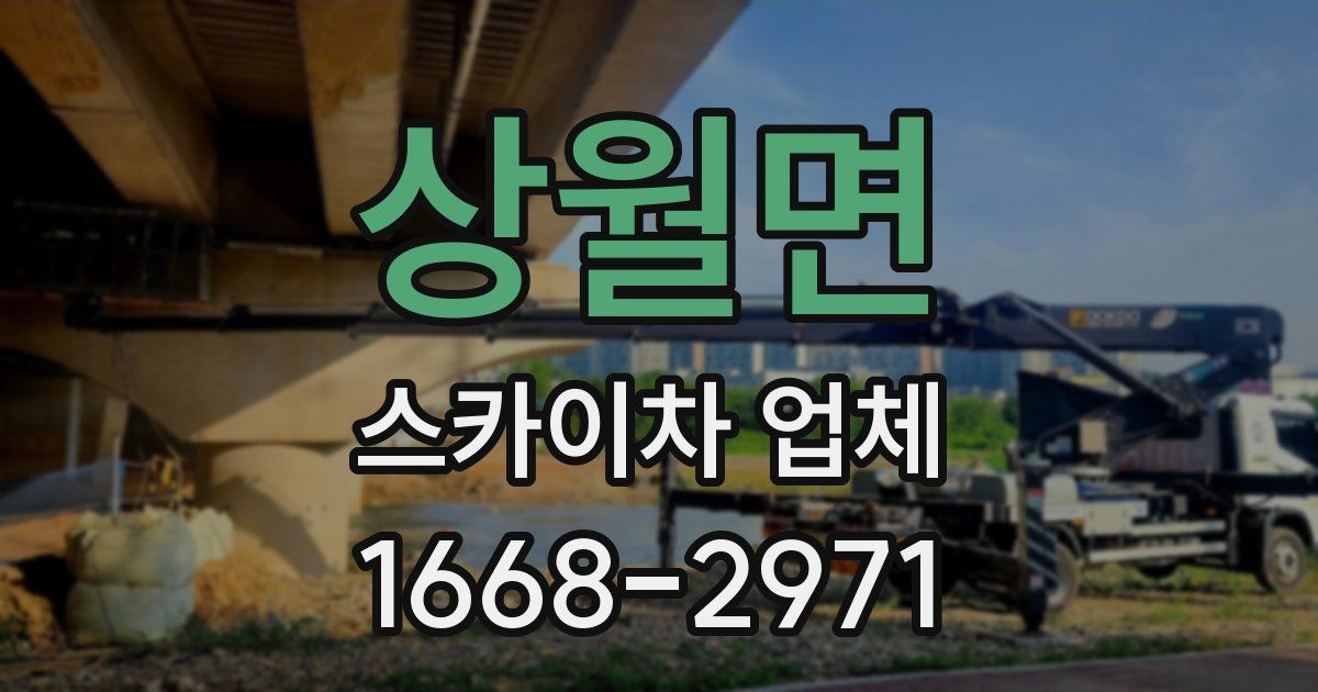 상월면 스카이차 업체
