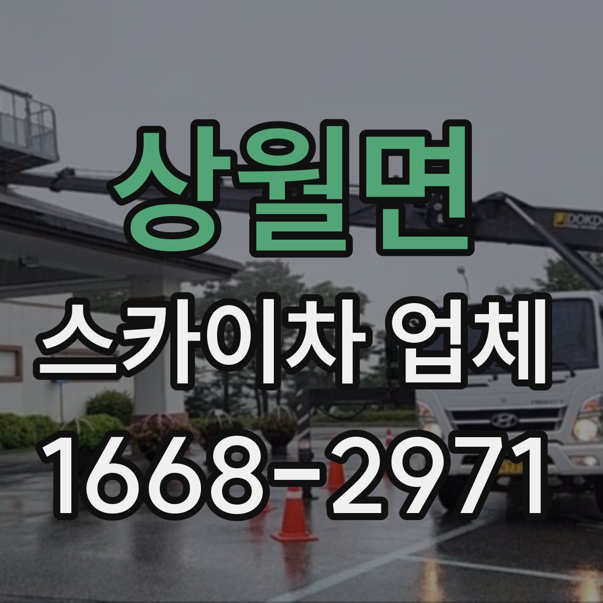 상월면 스카이차 업체