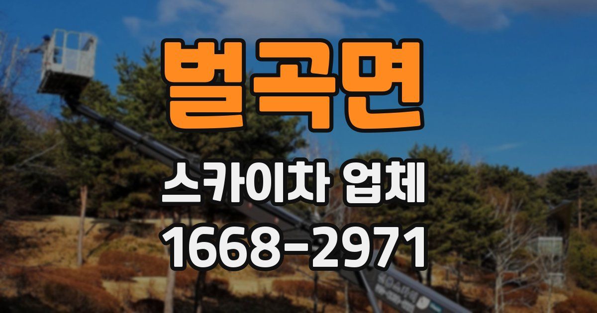 벌곡면 스카이차 업체