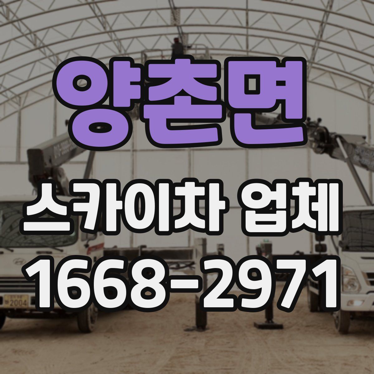 양촌면 스카이차 업체