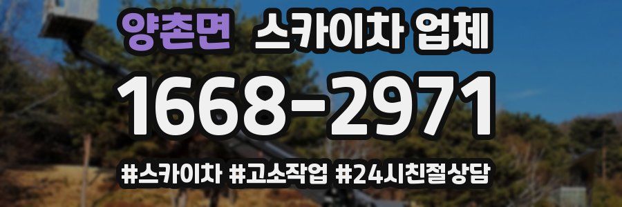 양촌면 스카이차 업체