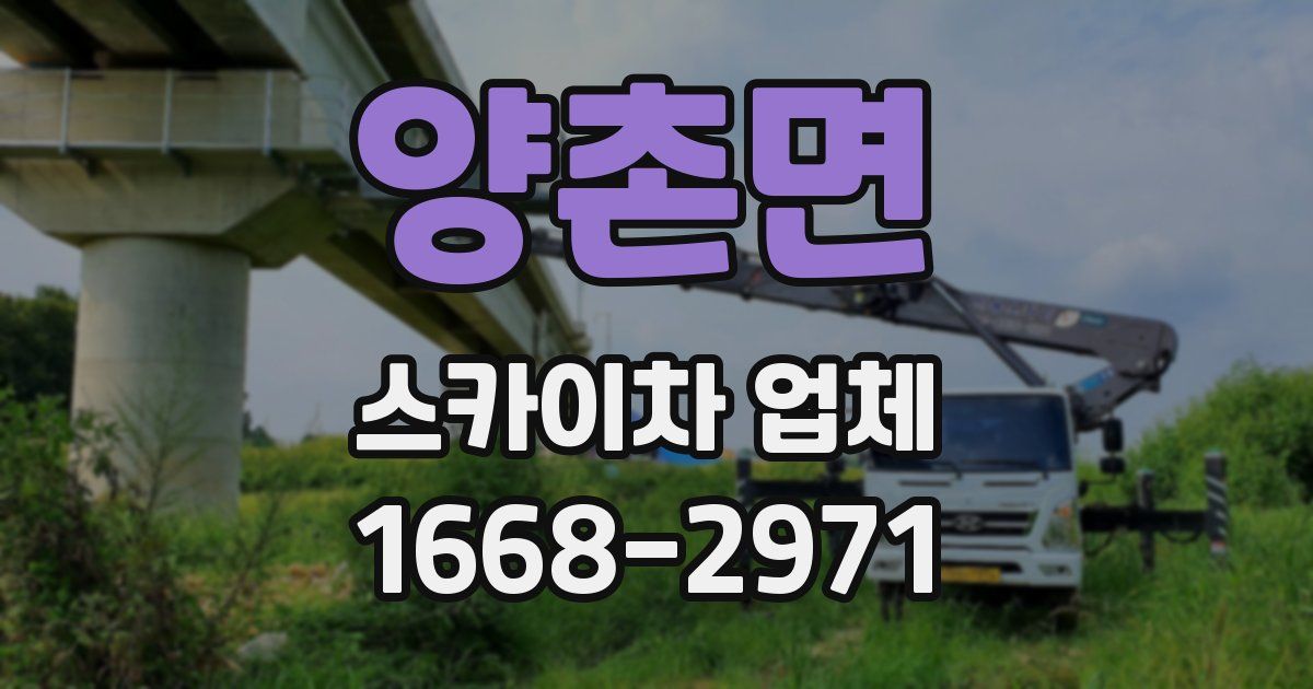 양촌면 스카이차 업체