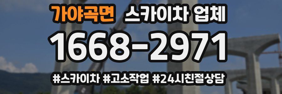 가야곡면 스카이차 업체
