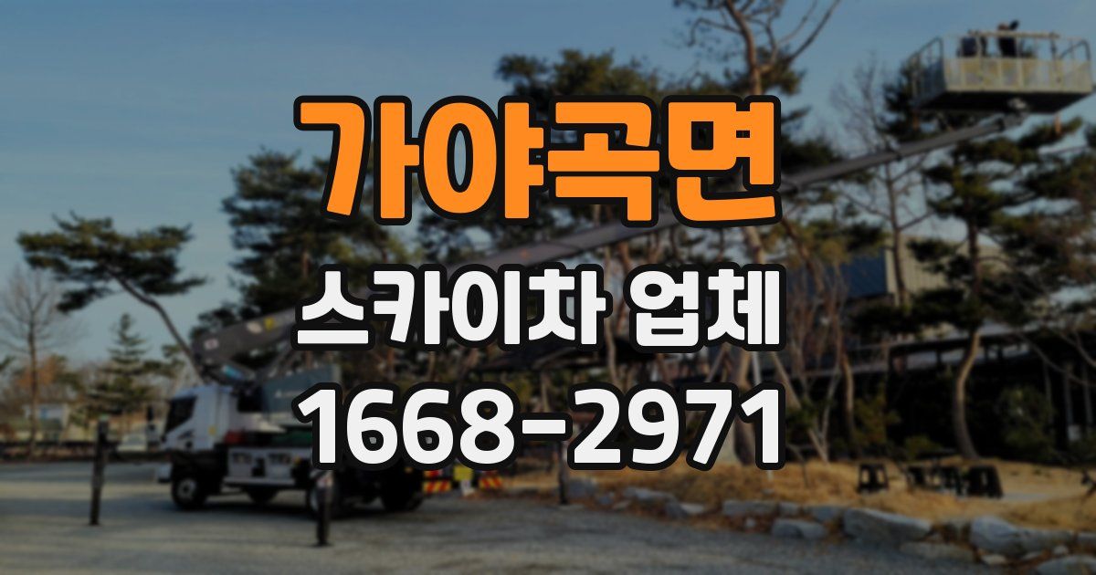 가야곡면 스카이차 업체