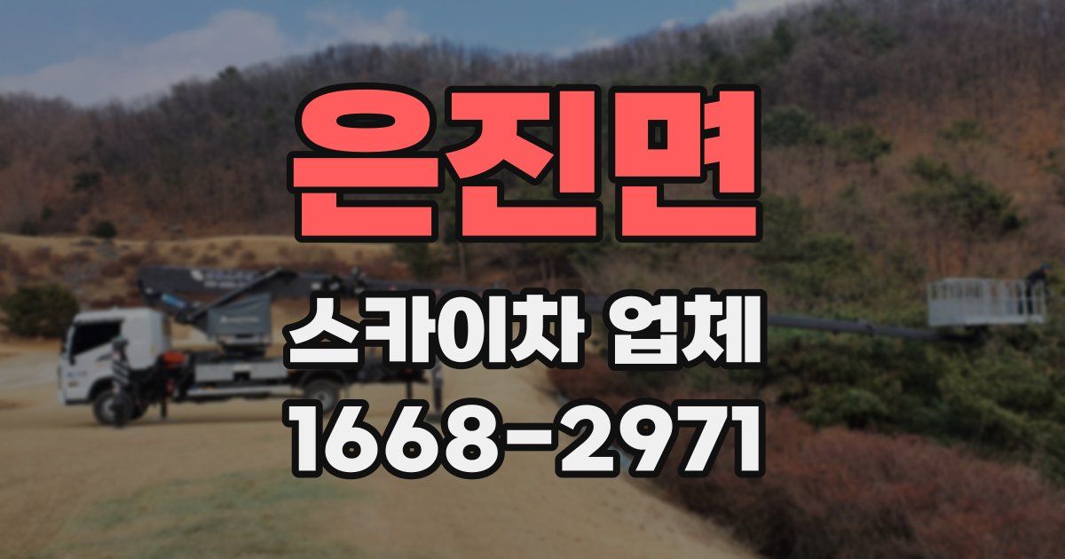 은진면 스카이차 업체