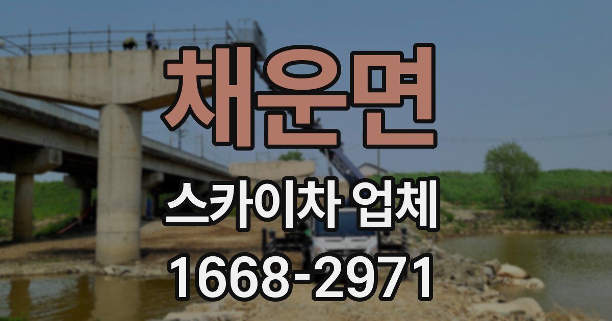 채운면 스카이차 업체