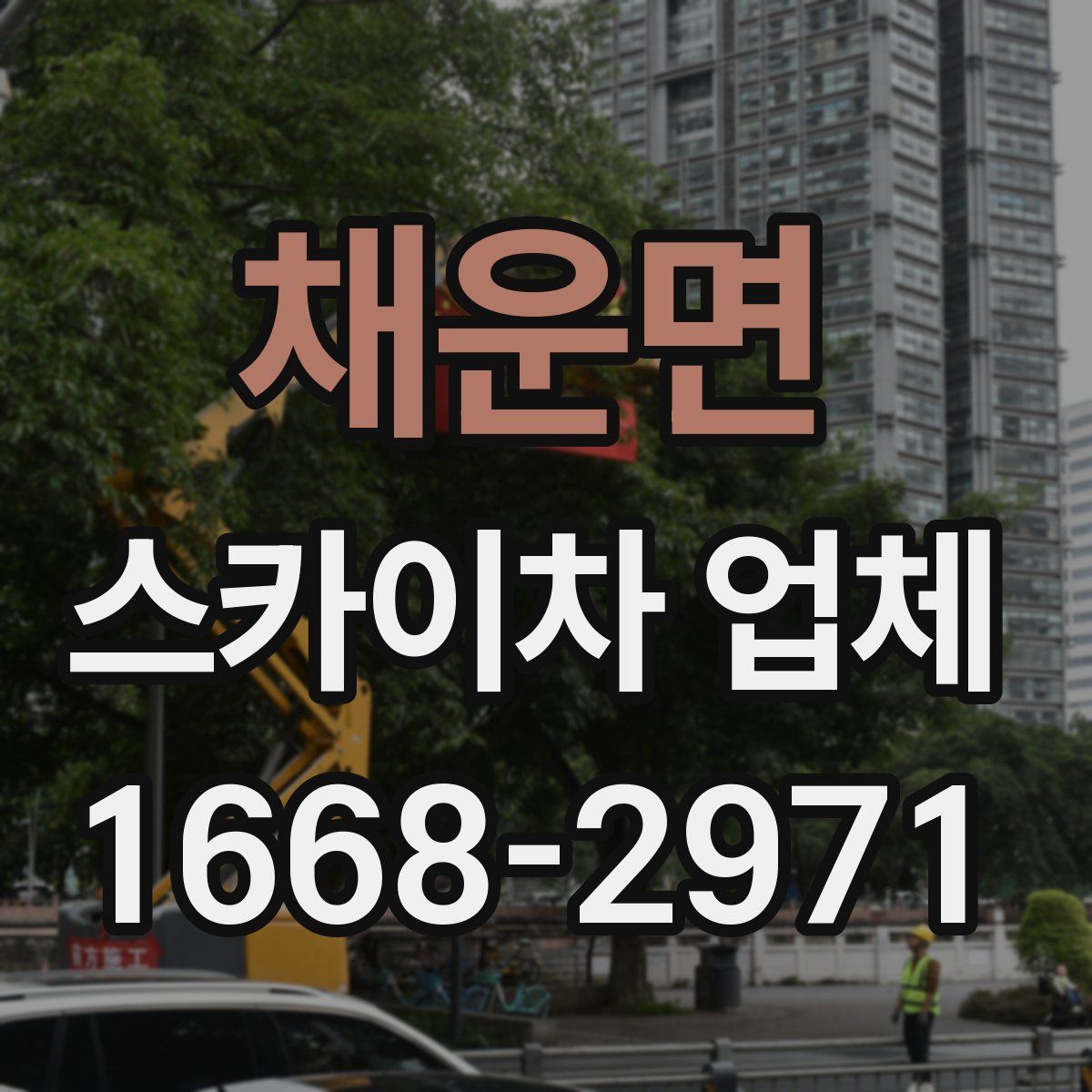 채운면 스카이차 업체