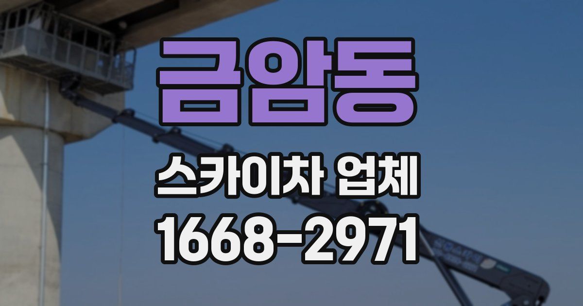 금암동 스카이차 업체