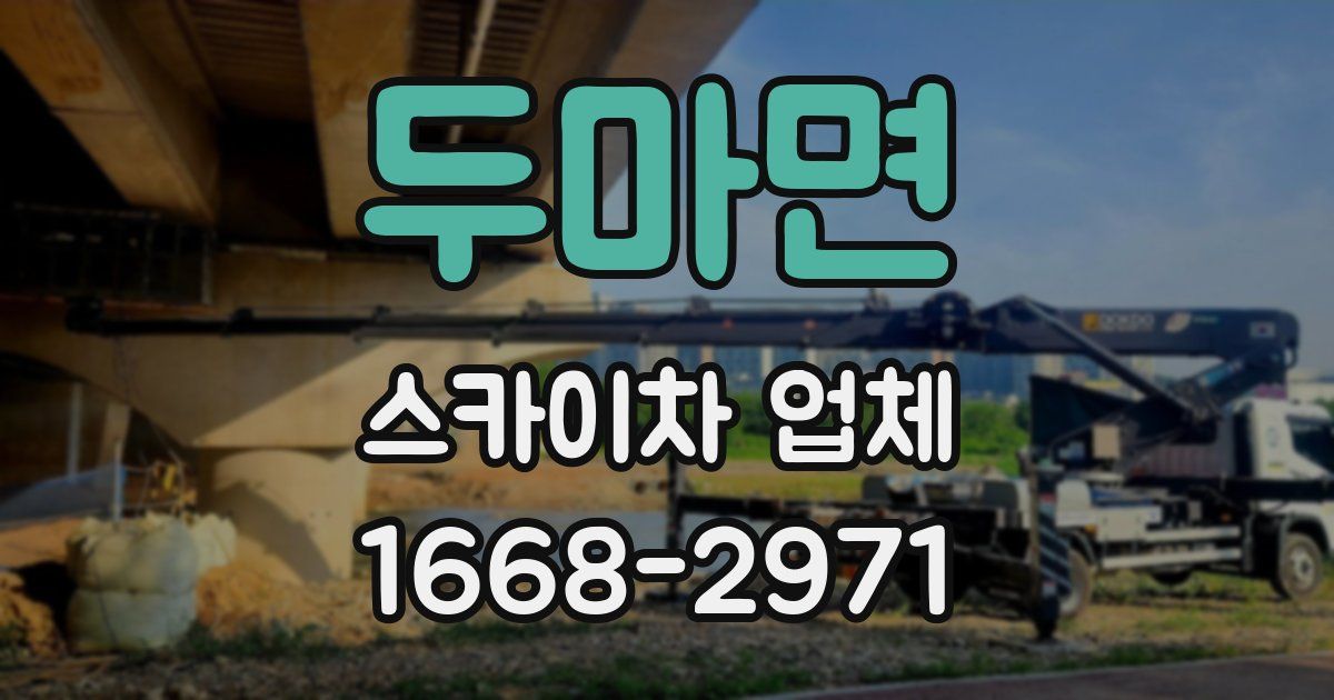 두마면 스카이차 업체