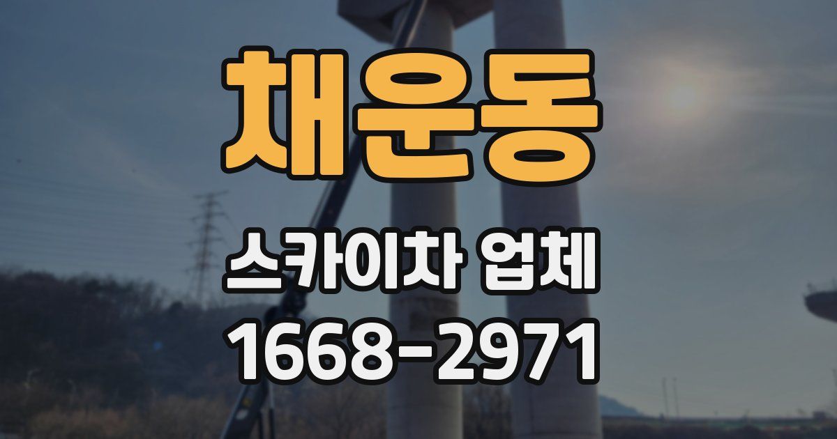채운동 스카이차 업체