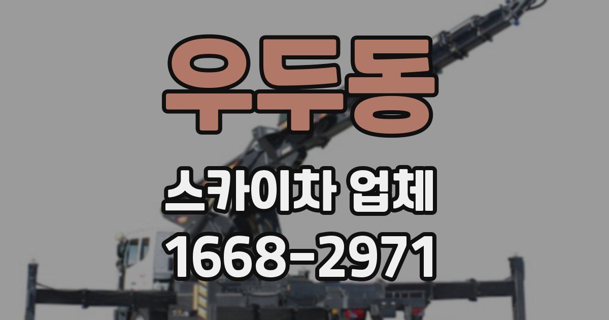 우두동 스카이차 업체
