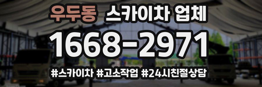 우두동 스카이차 업체