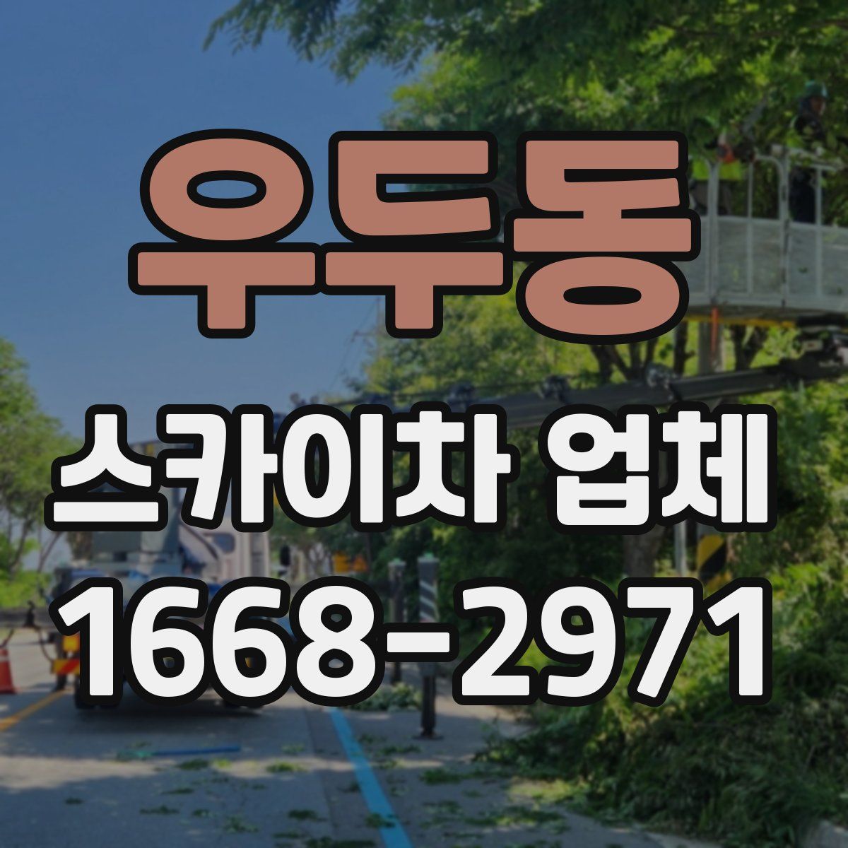 우두동 스카이차 업체