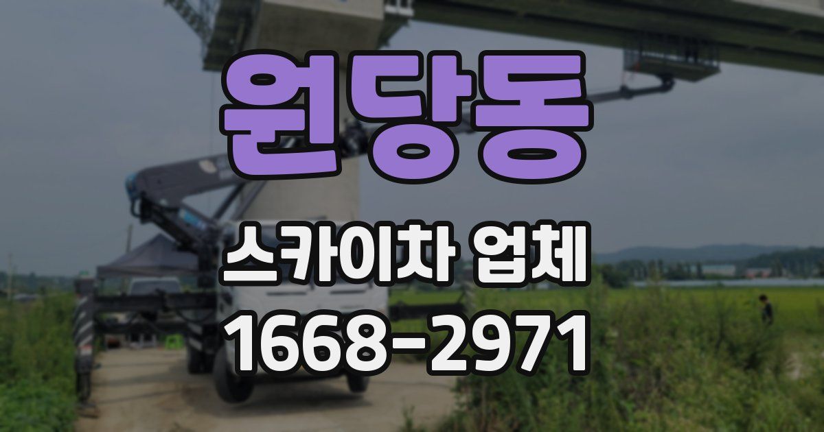 원당동 스카이차 업체