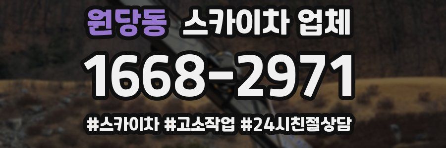 원당동 스카이차 업체