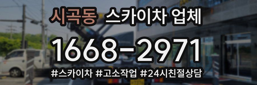 시곡동 스카이차 업체