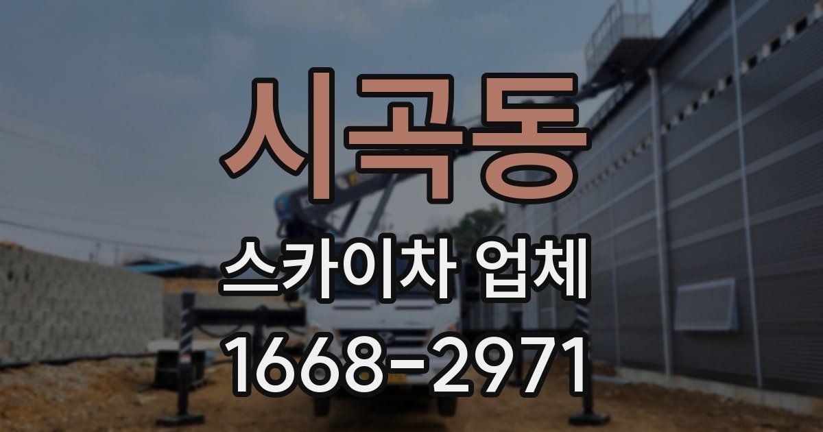 시곡동 스카이차 업체