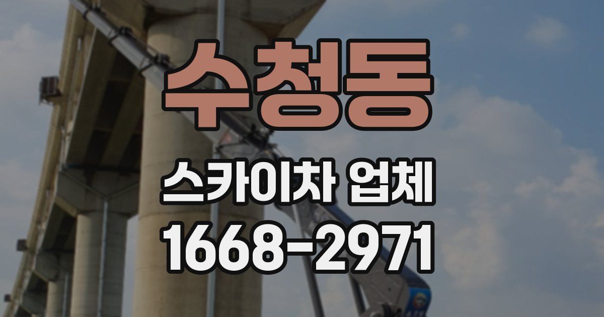 수청동 스카이차 업체