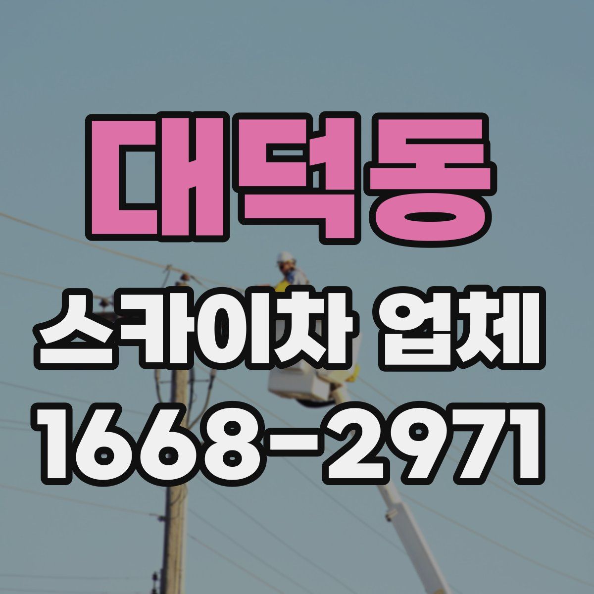 대덕동 스카이차 업체