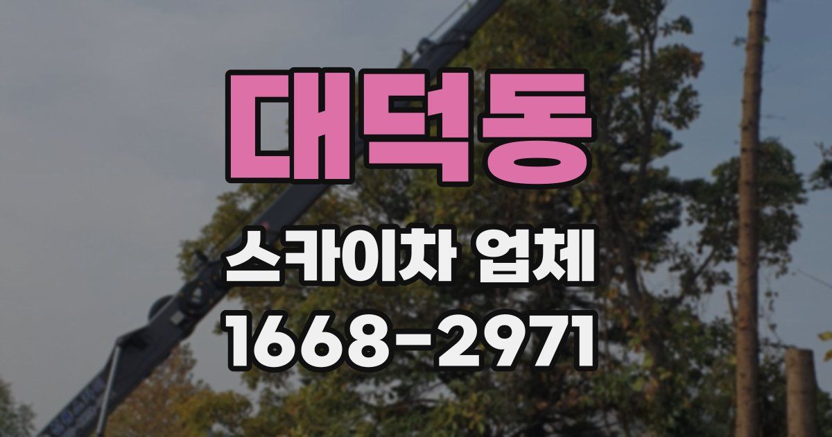 대덕동 스카이차 업체