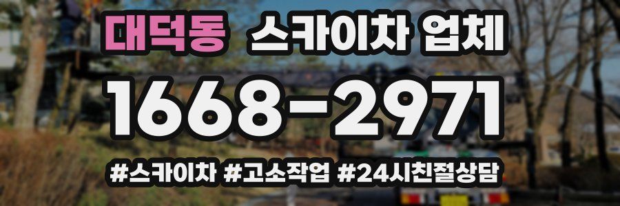 대덕동 스카이차 업체