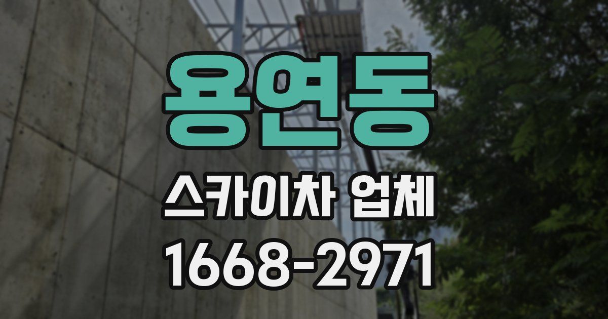 용연동 스카이차 업체