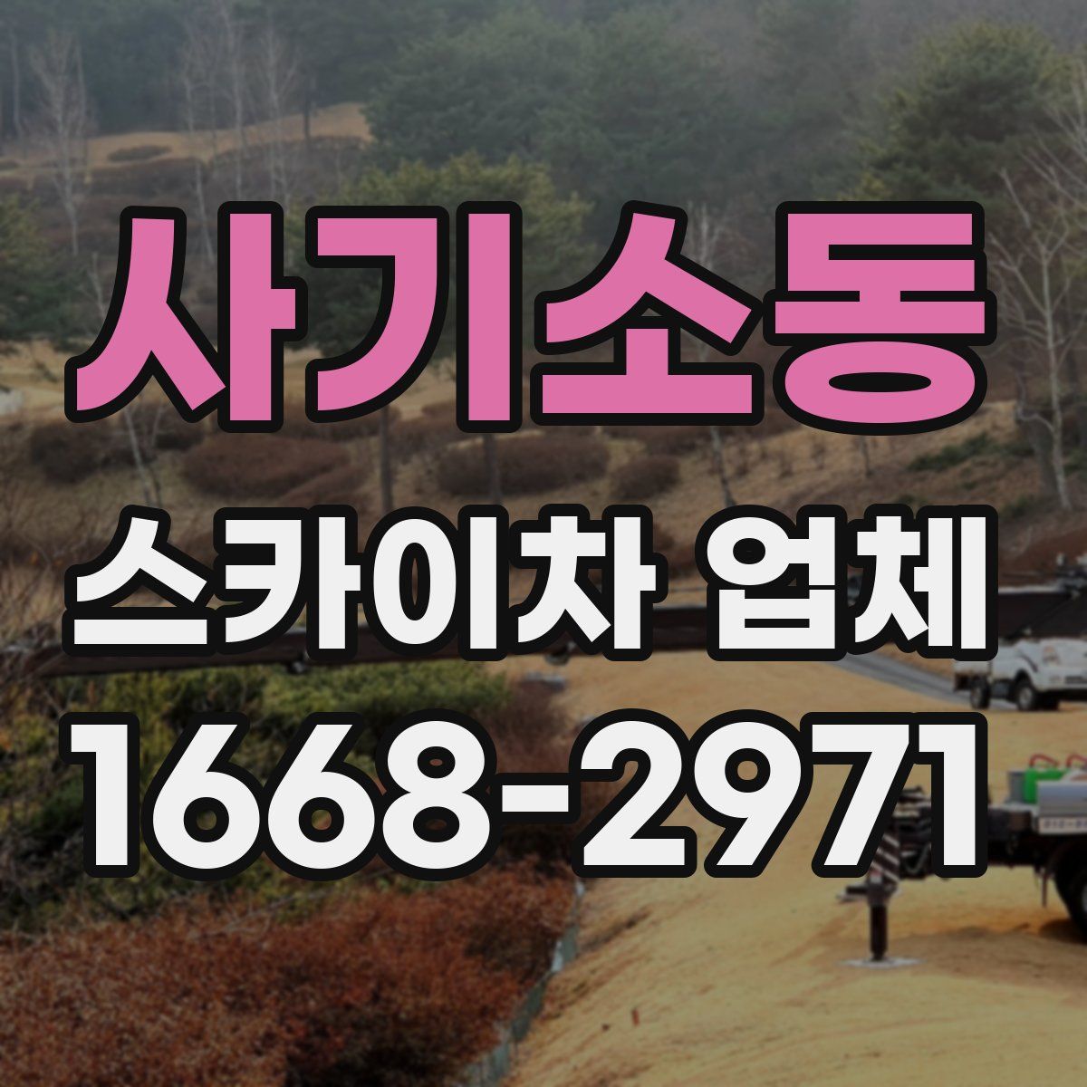 사기소동 스카이차 업체