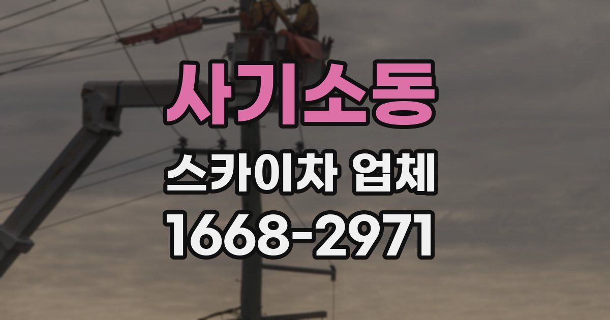사기소동 스카이차 업체