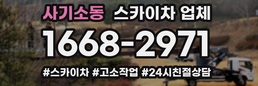 사기소동 스카이차 업체