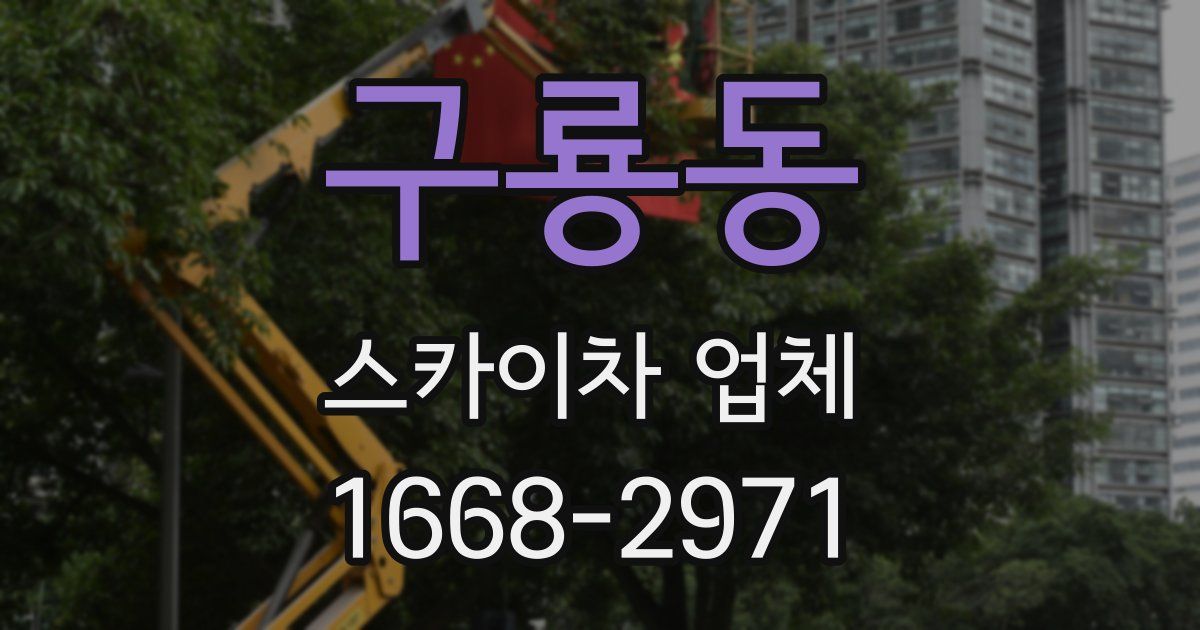 구룡동 스카이차 업체