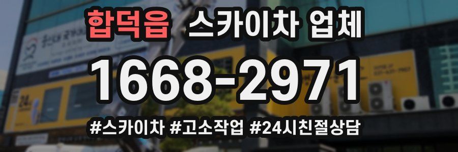 합덕읍 스카이차 업체