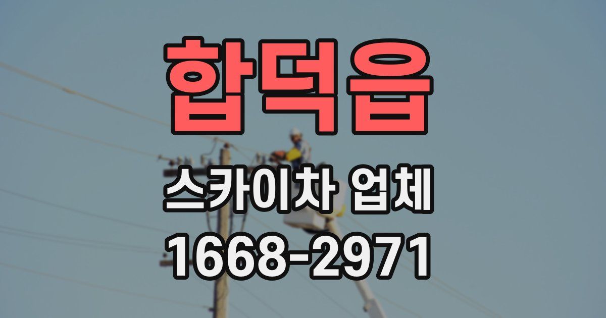 합덕읍 스카이차 업체