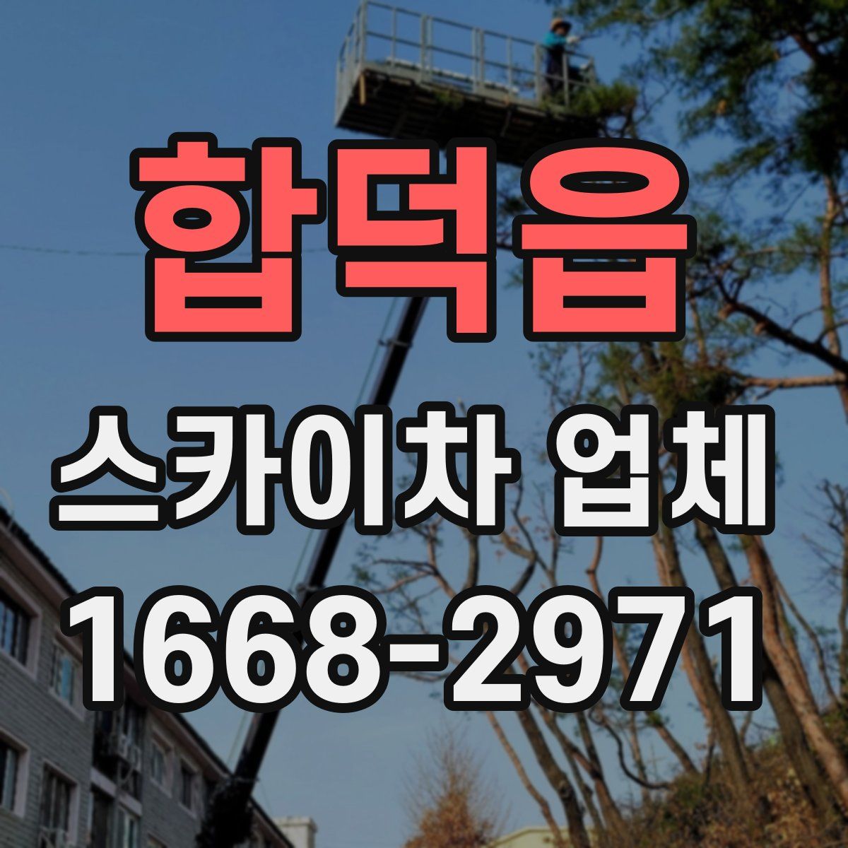 합덕읍 스카이차 업체