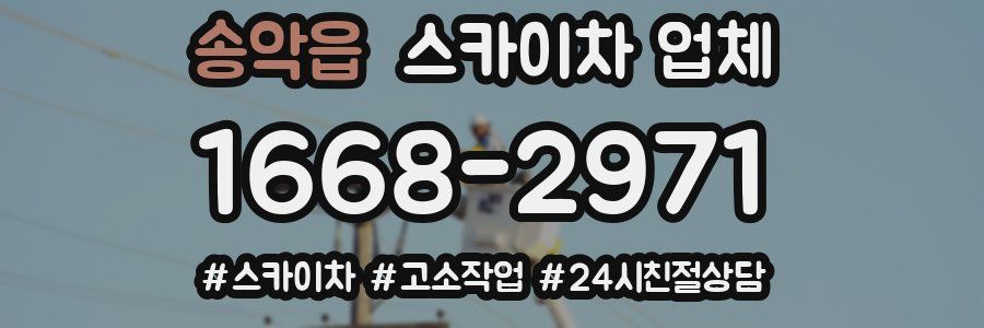 송악읍 스카이차 업체