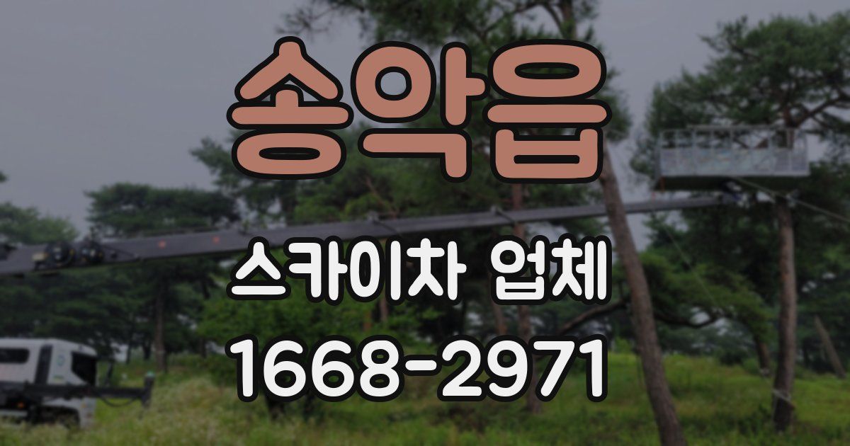 송악읍 스카이차 업체