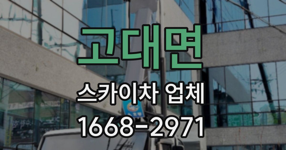 고대면 스카이차 업체