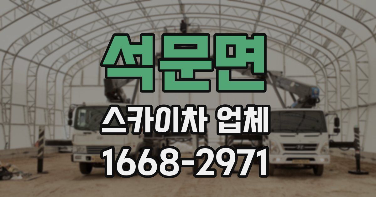 석문면 스카이차 업체